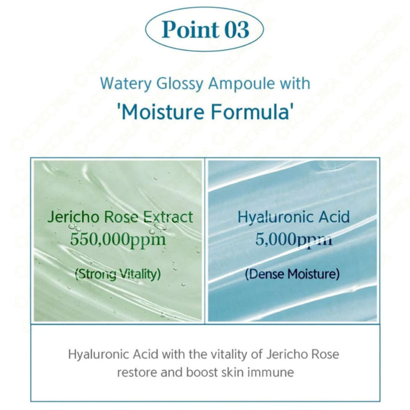 NACIFIC Hyal Booster Ampoule 50ml