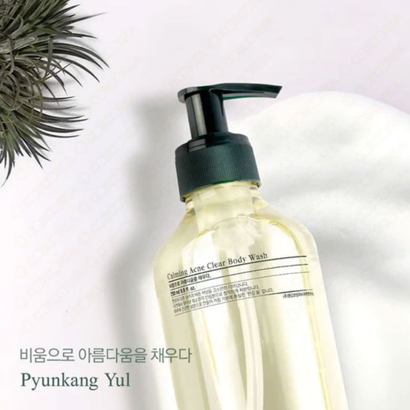 Pyunkang Yul Calming Acne Clear Body Wash 290ml