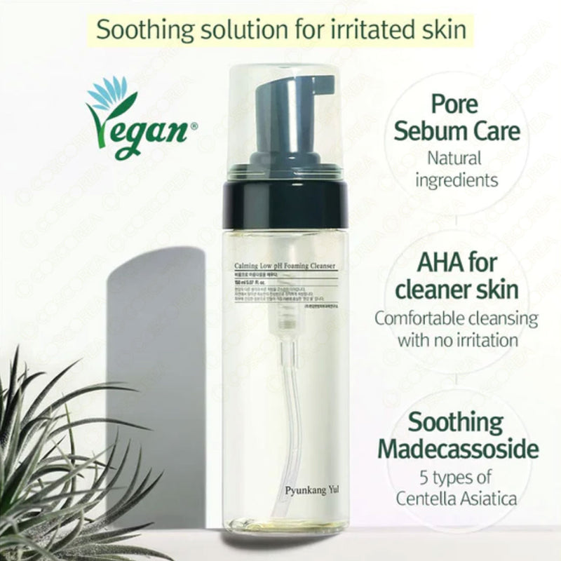 Pyunkang Yul Calming Low pH Foaming Cleanser 280ml