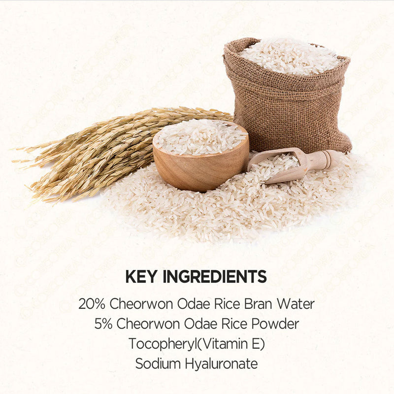 SKINFOOD Rice Mask Wash Off 120g