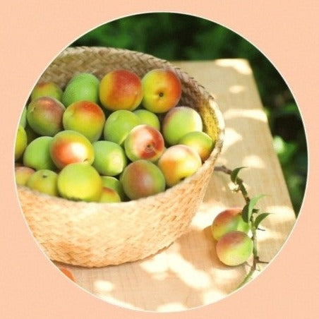 HANYUL Pink Plum Clearing Toner 300ml.