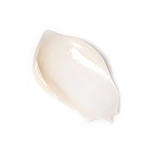 FATION Signature NoSCalm Cream 50ml Korean skincare Kbeauty Cosmetics
