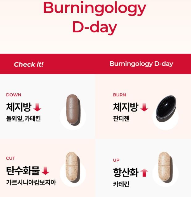 FOODOLOGY Coleology Burningology D-day 3.8g *10 Sticks.