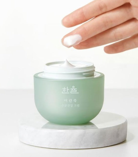 HANYUL Pure Artemisia Calming Water Cream 50ml Korean skincare Kbeauty Cosmetics