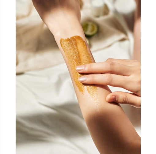 Plu Body Scrub Rosemary Herb 200g Korean skincare Kbeauty Cosmetics