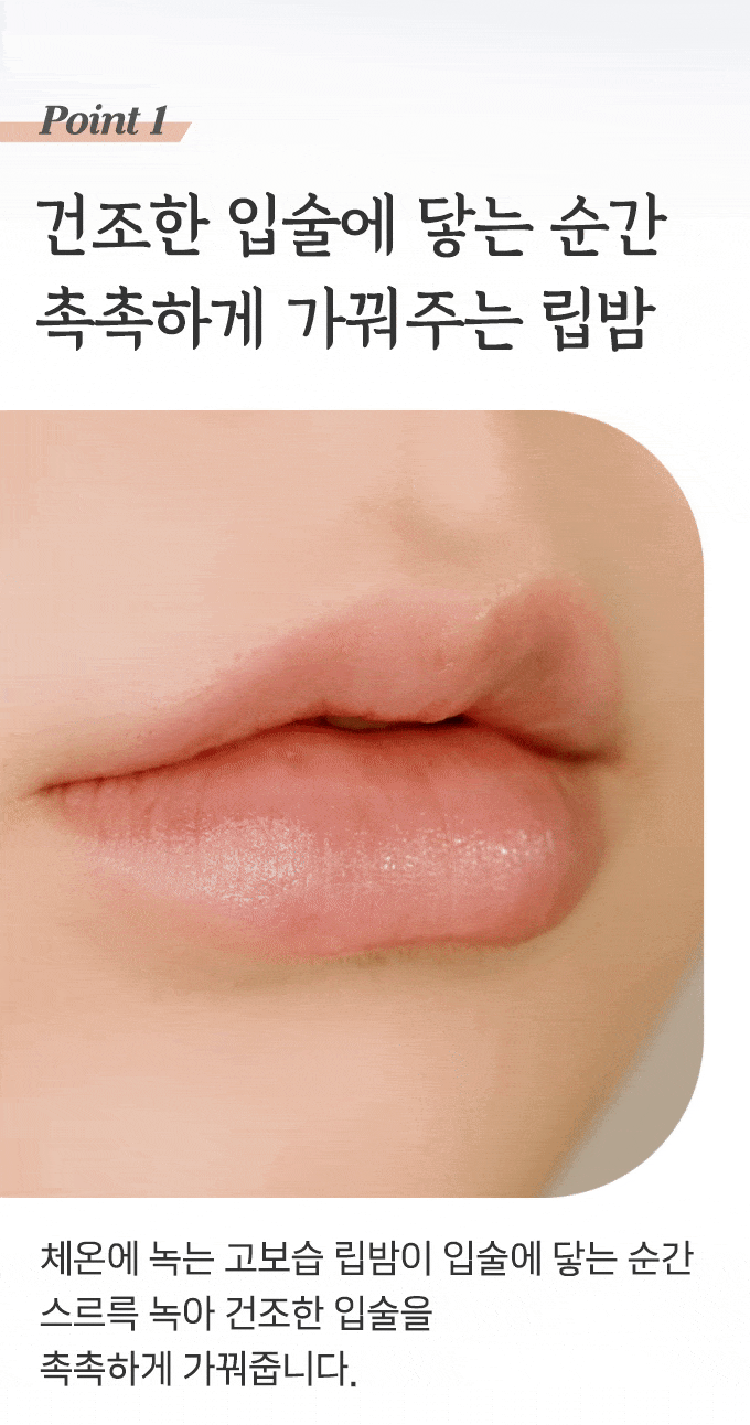 ETUDE HOUSE Ginger Sugar Lip Balm Stick 3.7g.