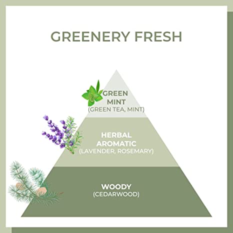 AMOS The Green Tea Shampoo Fresh 500g.