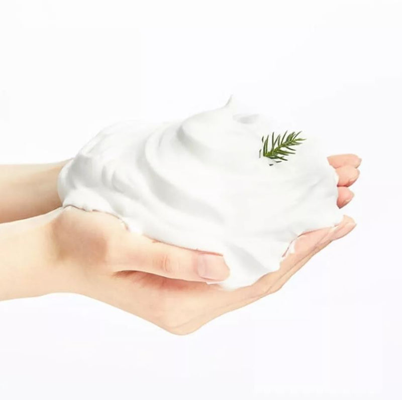 BRING GREEN Tea Tree Trouble Cleansing Foam 300ml.