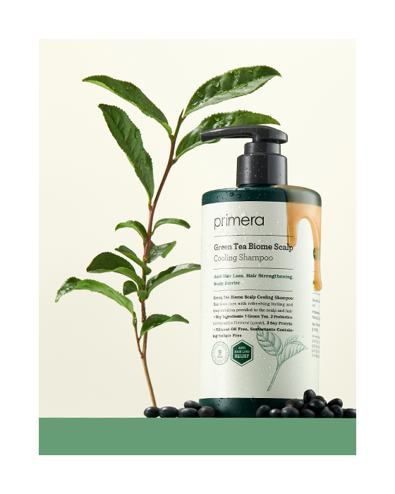PRIMERA Greentea Biome Scalp Cooling Shampoo 380ml Korean haircare Kbeauty Cosmetics
