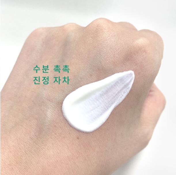 BRING GREEN Tea Tree Cica Soothing Sun Cream 50ml.