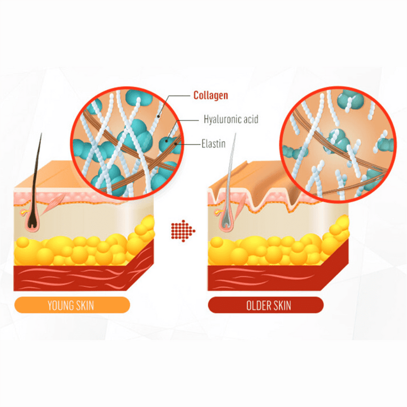 Belishe Essential Collagen Skin Care Set.