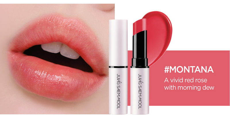 Jungsaemmool Lip Pression Water Tinted Lip Balm 4.5g