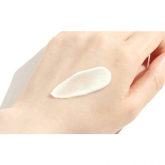 ROUND LAB Birch Juice Moisturizing Sun Cream 50ml SPF 50+.