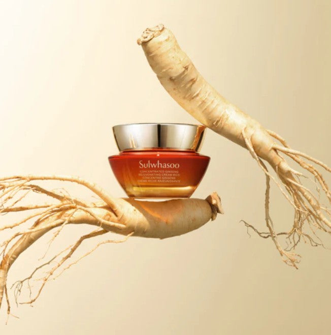 Sulwhasoo Concentrated Ginseng Rejuvenating Cream Rich Set