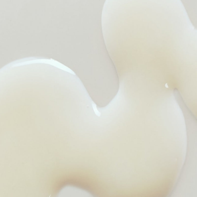 ABIB Heartleaf Bifida Serum Firming Drop 50ml