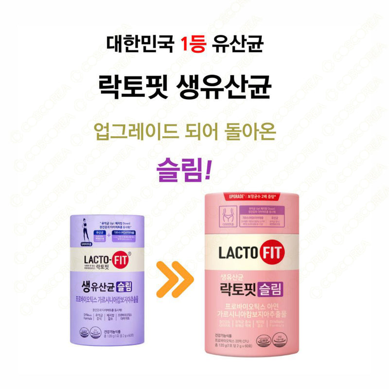 LACTO FIT Probiotics Slim 2g x 60sticks