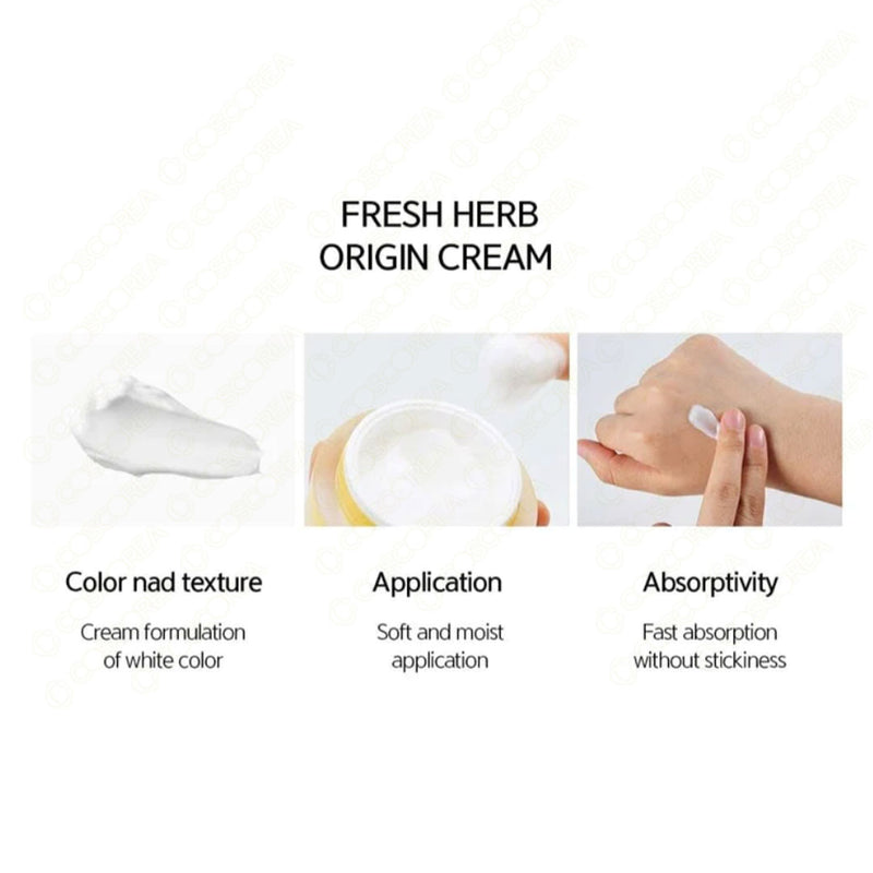 NACIFIC Fresh Herb Origin Cream 50ml