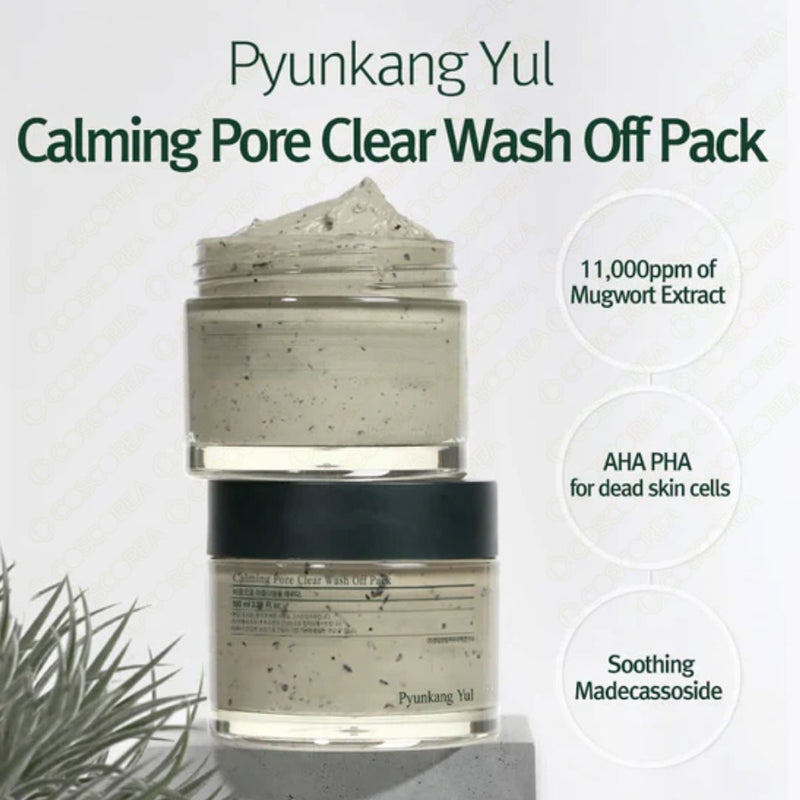Pyunkang Yul Calming Pore Clear Wash Off Pack 100ml