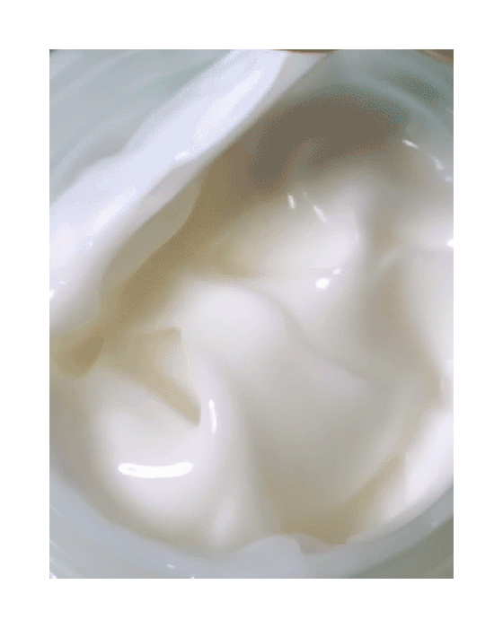 PRIMERA Alpine Berry Watery Cream 50ml Korean skincare Kbeauty Cosmetics