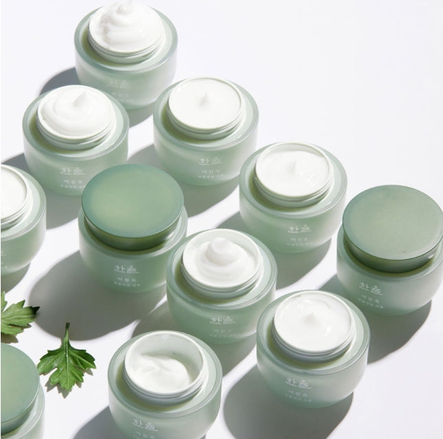 HANYUL Pure Artemisia Calming Water Cream 50ml Korean skincare Kbeauty Cosmetics