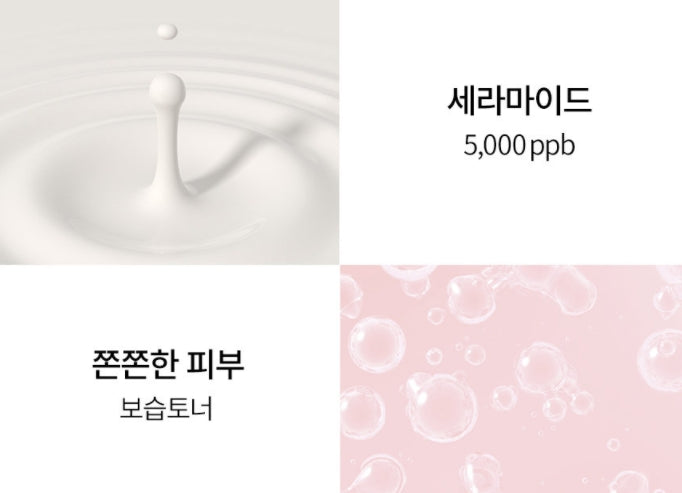 TONYMOLY Wonder Ceramide Mocchi Toner 500ml Korean skincare Kbeauty Cosmetics