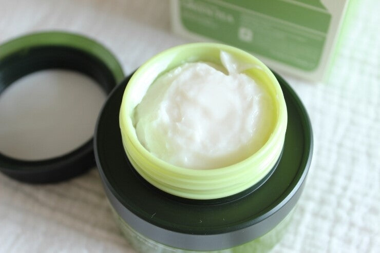 TONYMOLY The Chok Chok Green Tea Watery Moisture Cream 100ml Korean skincare Kbeauty Cosmetics