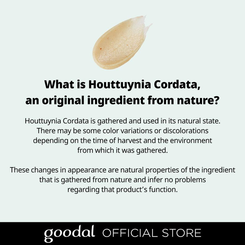 Used in its natural state, Houttuynia that has been gathered, Changes in appearance are natural properties of the ingredient, Natural ingredients, Infer no problems regarding that product&
