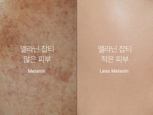MEDICUBE Camu Camu Brightening Toner 205ml Korean skincare Kbeauty Cosmetics